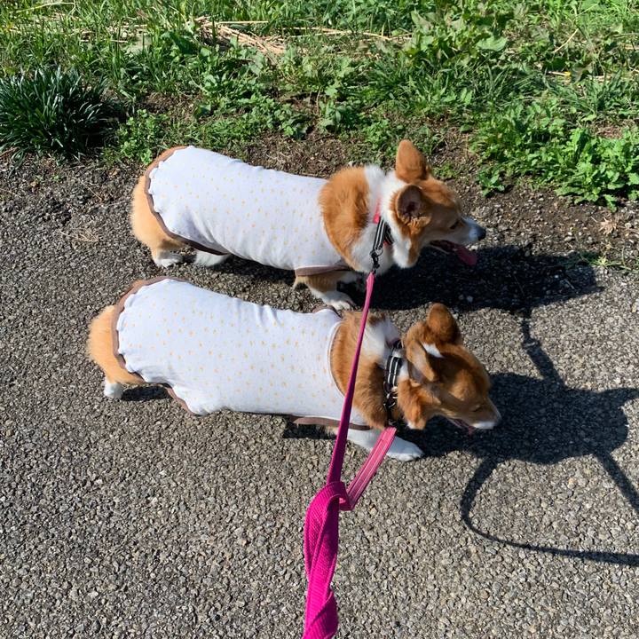 Df1b110f 1ff8 43ae b265 e9fd5b701c99 1572412938863