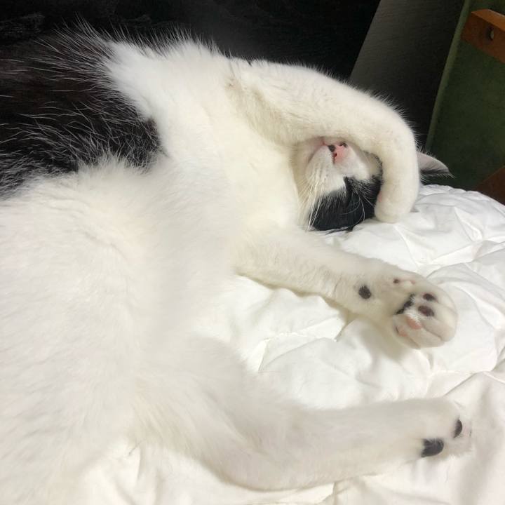 Df1b23cf dba3 4719 b606 1a8985589b95 1626436437716