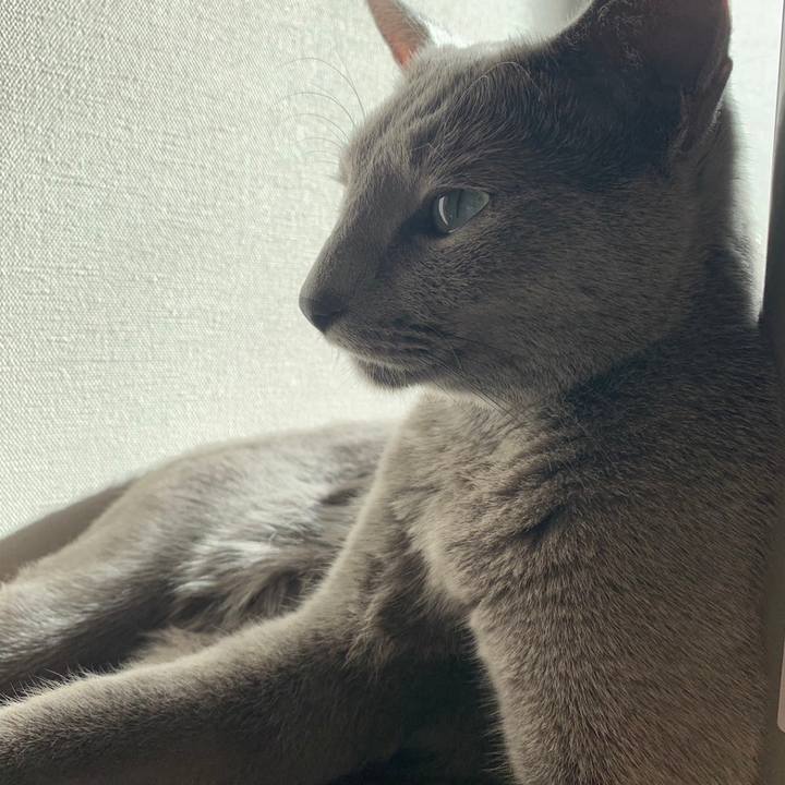 Df1bb5a3 d6d5 4c35 b104 55d33563a9fd 1740785004429