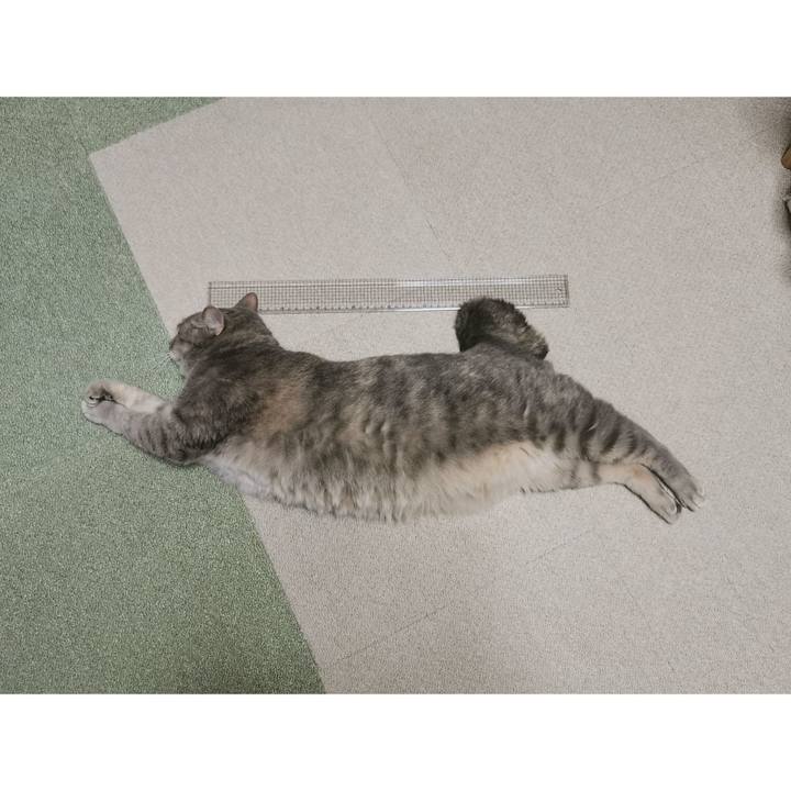 Df1bcd41 f639 49ff b1b9 4cd32a31ef4b 1664807061893