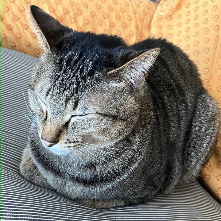 Df1bf48b cd40 4ebf aa94 cb57de033731 1768352218724