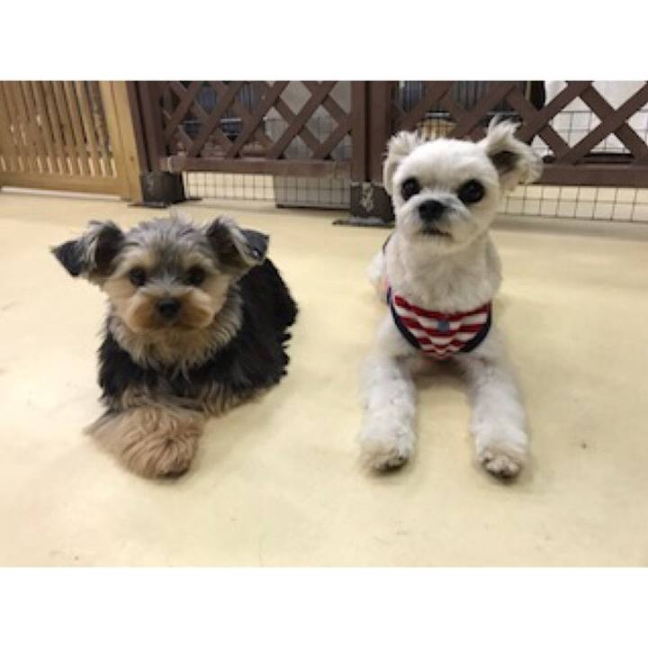 Df1c18c6 85b1 4720 8307 3b04aaf2d4df 1545221893332