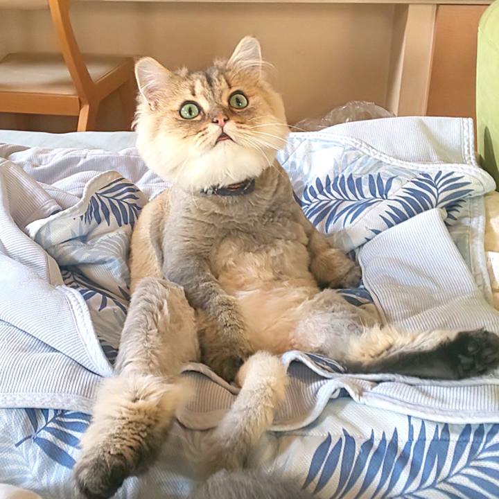 Df1c6707 a5c3 47a5 93ca f6d650adb890 1599105035638