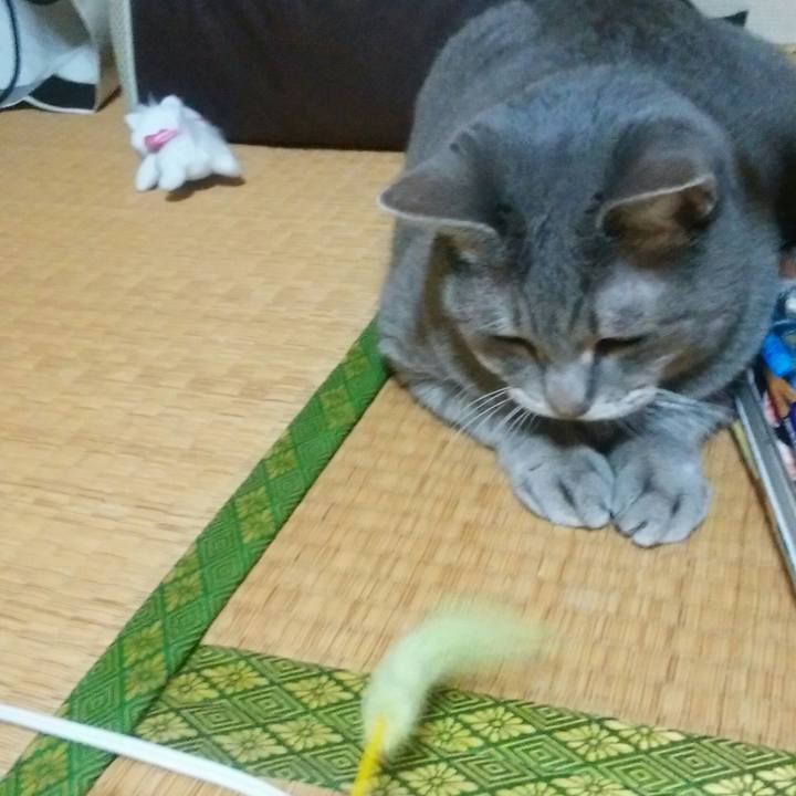 Df1c73ae 0cc5 41d4 8b64 31e0d720b842 1541083867433