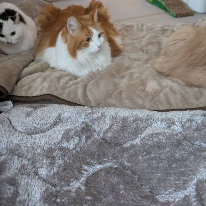 Df1c7c28 d177 41b9 99ee 8457d762a6ce 1766881654712