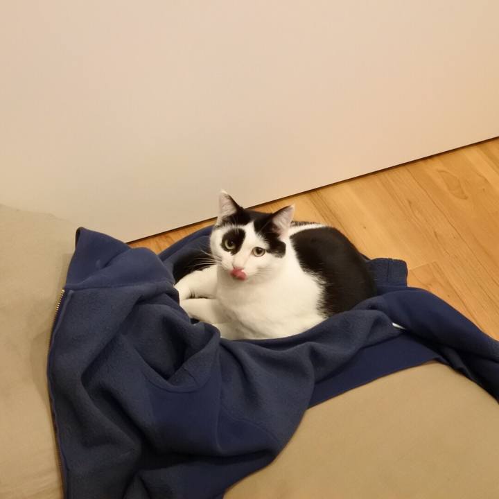 Df1caa57 efb1 4115 89ce 90e47766d33b 1519395391671