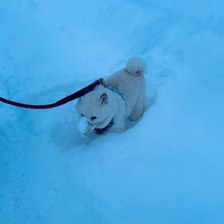 Df1cf432 82ca 4fc3 b251 b671600d4ffa 1769034972645