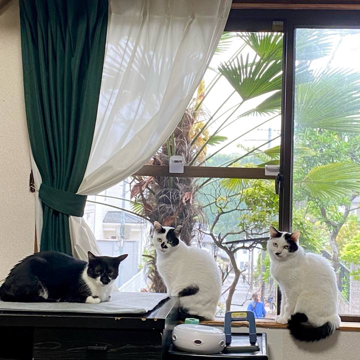 Df1d0f41 a5ed 48e9 9dd5 f87ba306fc26 1650937676992