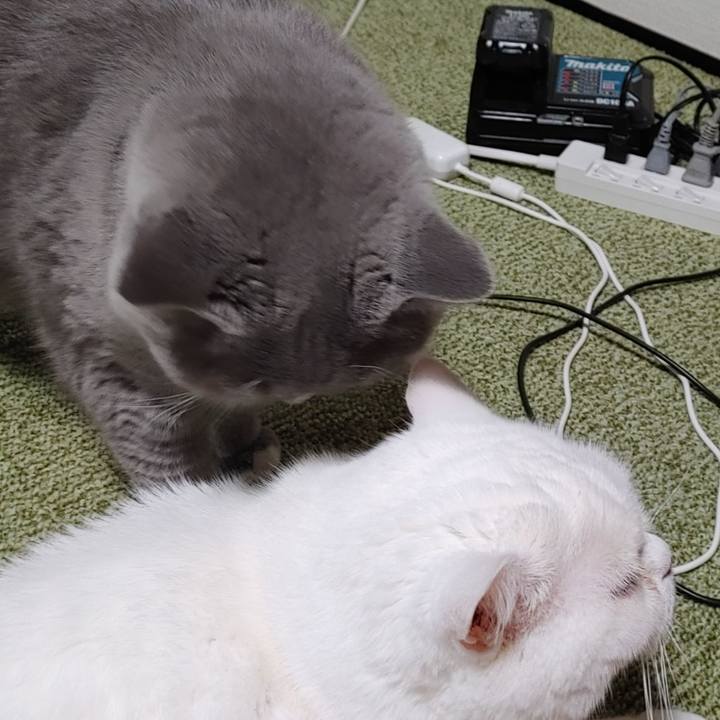 Df1d14cc d279 496b 9c36 7867a6894725 1691755523085