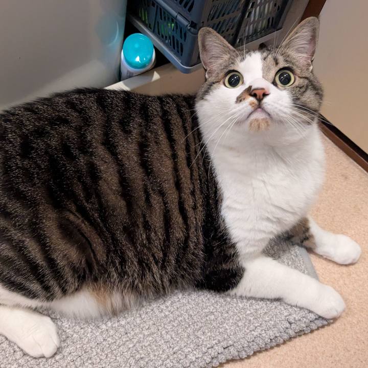 Df1d4b58 bf0e 4745 bc27 df6308ffe57e 1745709569526