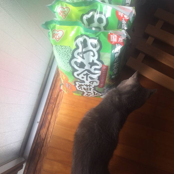 Df1d6a67 7766 4462 b661 8f72245347ee 1512316592806