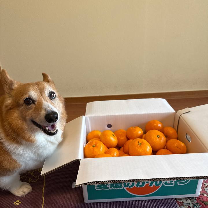 Df1d7fac bb3c 4044 a6fa 2a1e0650b515 1766198214884