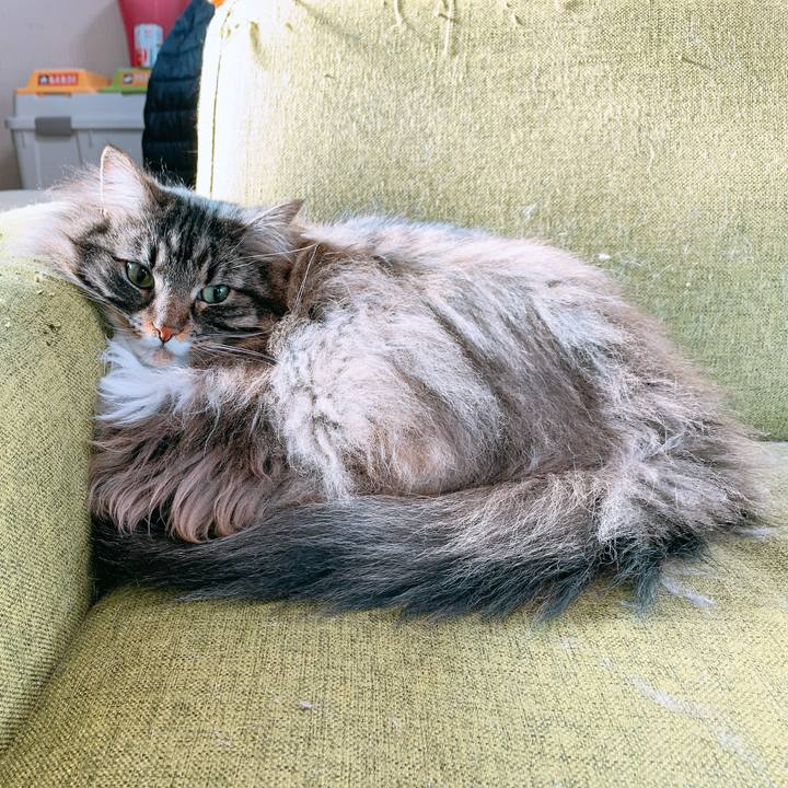 Df1d851c 9d59 43aa a842 cd1253d67763 1583888820114