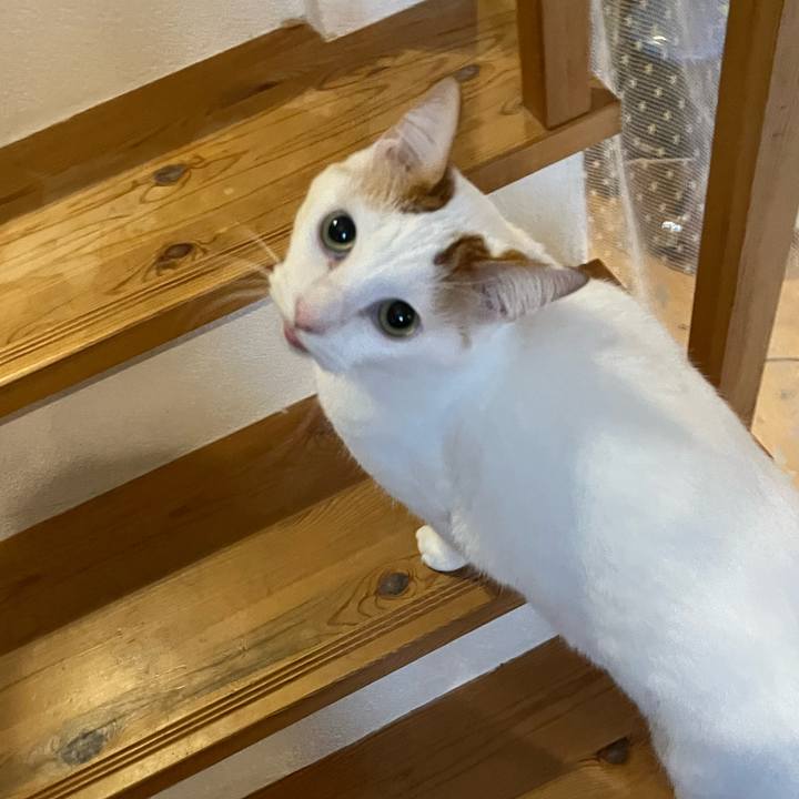 Df1da8e4 14ce 4ab2 a761 d2fa635f28bc 1762676843039