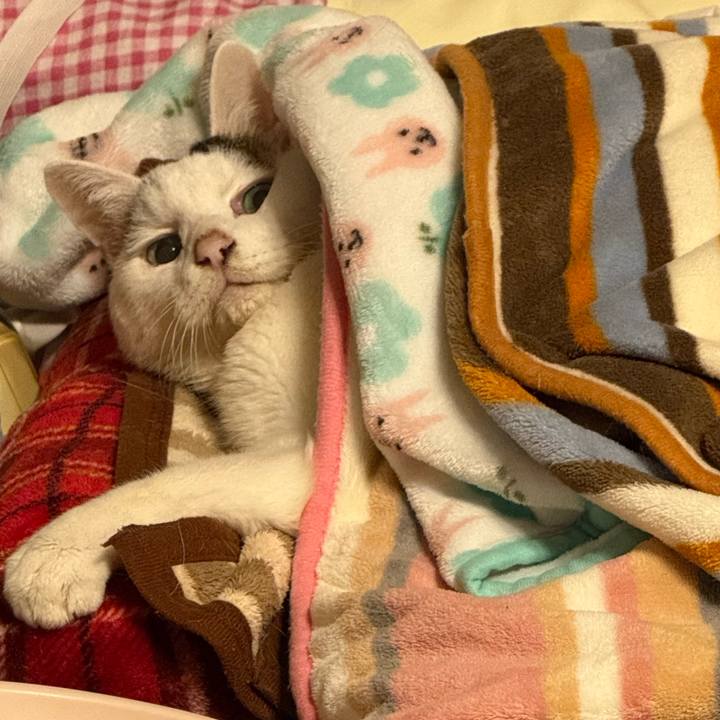 Df1dc460 c81f 464a 8ed2 d20ddf06b02a 1767617212029