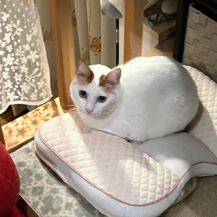 Df1dd4ad 0ef6 4920 b71a 50fa23e9c964 1761663927442