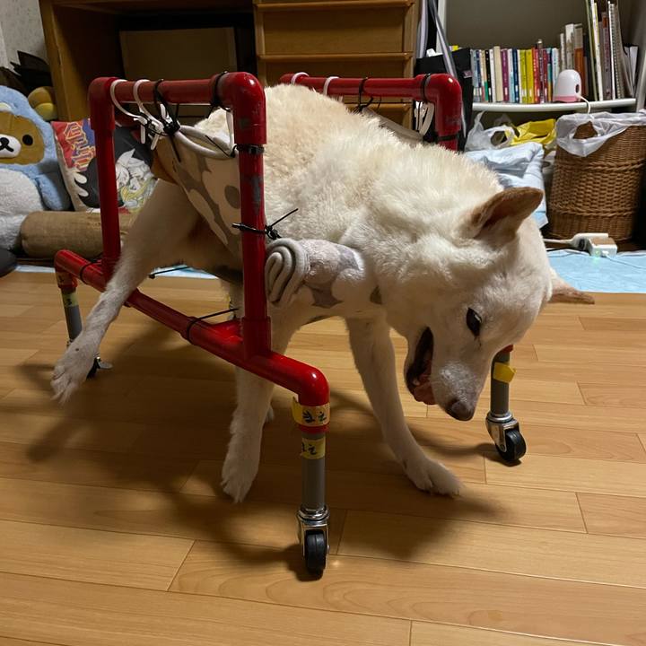 Df1de393 a8bc 49b7 9004 b06451ce6160 1662041941065