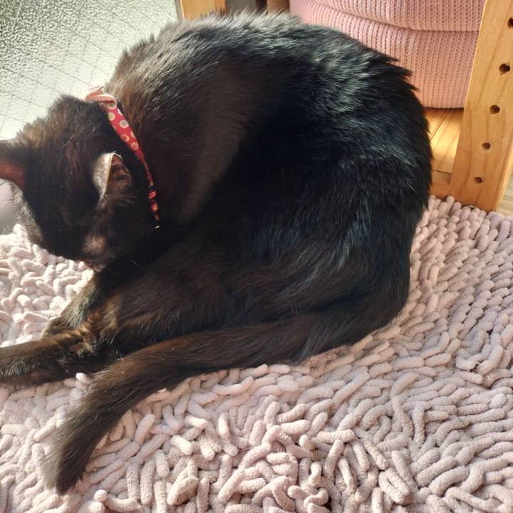 Df1ded15 81a4 4866 82c4 f534ce802855 1650665865156