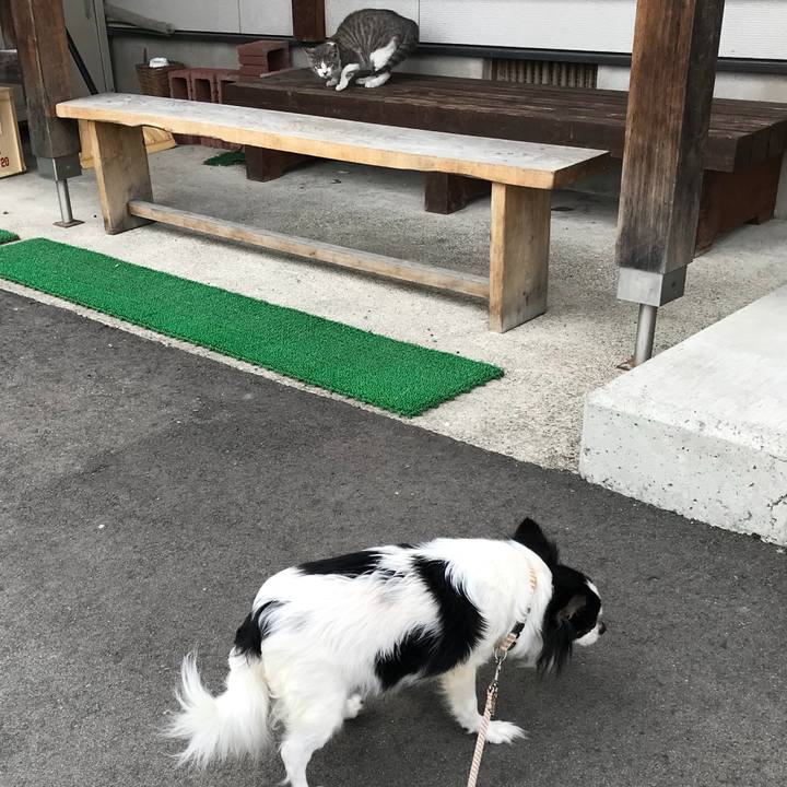 Df1df87f adee 49cb 8efb e0a1b68058e4 1523962361351