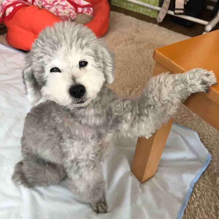 Df1e5d6f b2ed 42a2 a418 813cb8308f65 1554418645667