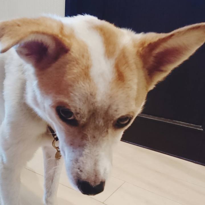 Df1e71d3 2595 40b8 9aa6 e22050dbf455 1566885876048