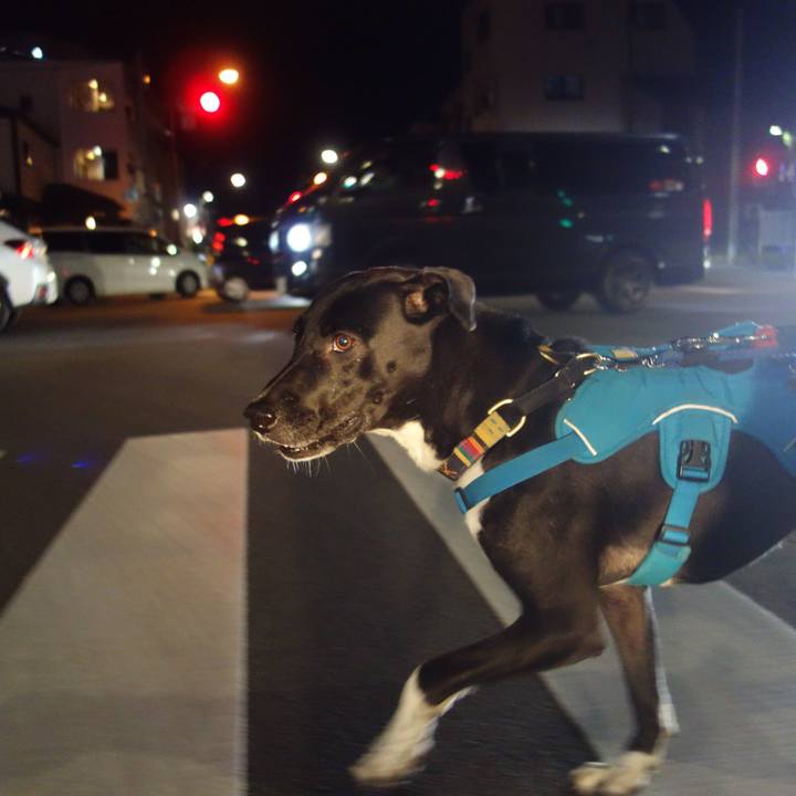 Df1e7f4b e48d 47af 85b7 e5d8aa1b3d71 1606560940254