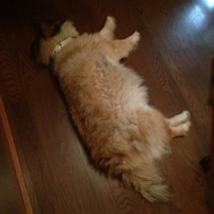 Df1e8a59 c328 43dd ab23 19854e5eaeee 1577004014199