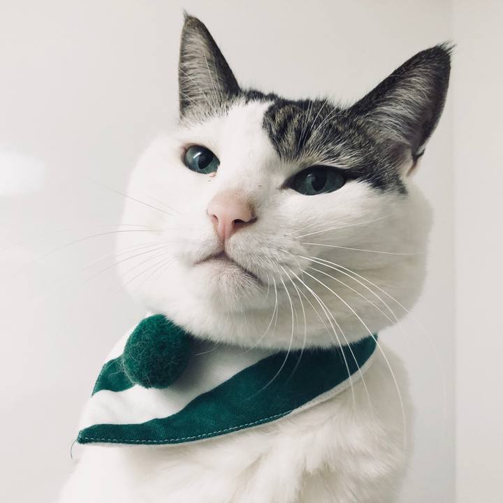 Df1e945c f0ea 4e3c b259 66cc261025fc 1541719966206