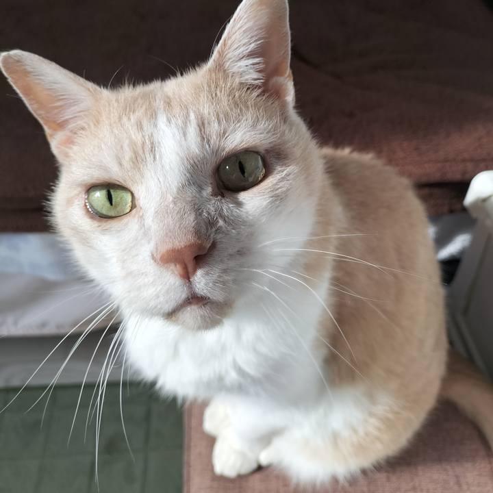 Df1e9af3 371a 4061 8862 8c717196868d 1655677150228