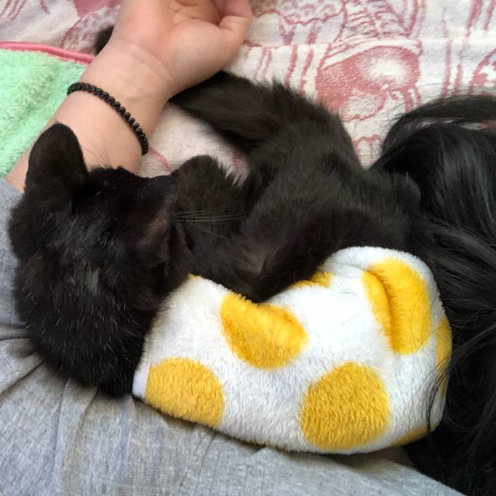 Df1ecb40 6893 40d9 b864 f43f5ea6b895 1559809197926