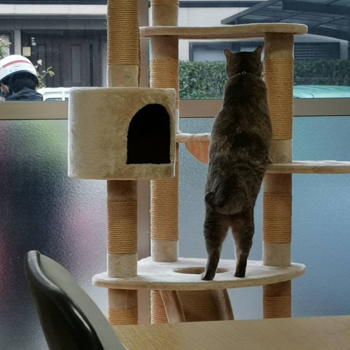 Df1ed23a 9531 44fc 8ebd 413e48faf939 1606465097064