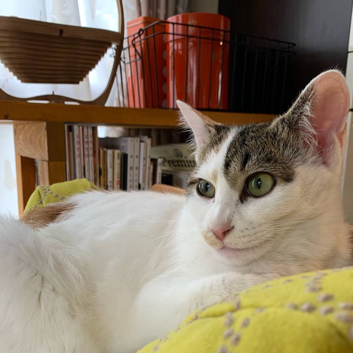 Df1f11da 94c6 4d79 9637 70874af5a965 1606710977919