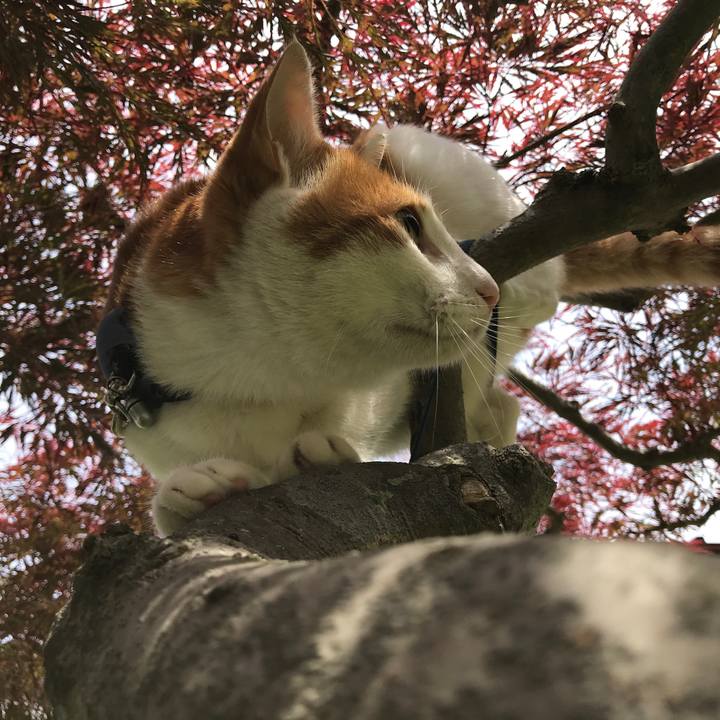 Df1f175b 4ce3 4705 8104 235dbd8ddae6 1528522374648