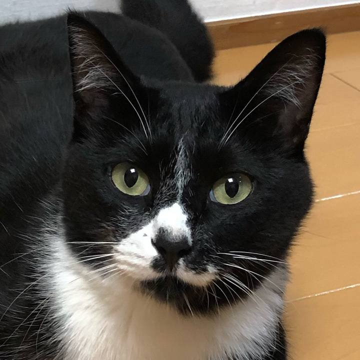 Df1f1872 d8c0 4d20 b782 af8ac21d5922 1571470296385