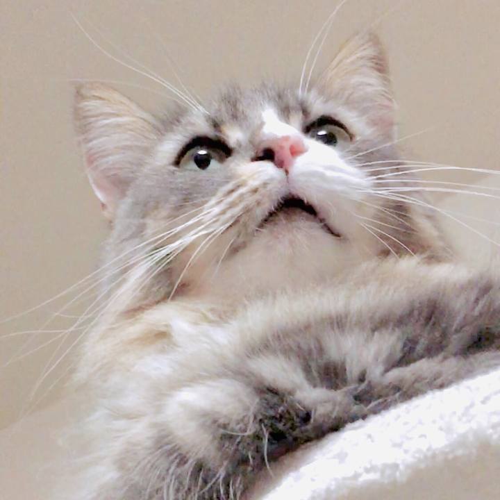 Df1f23df 6d6a 4ae1 bee8 195d714ecd89 1575050968503