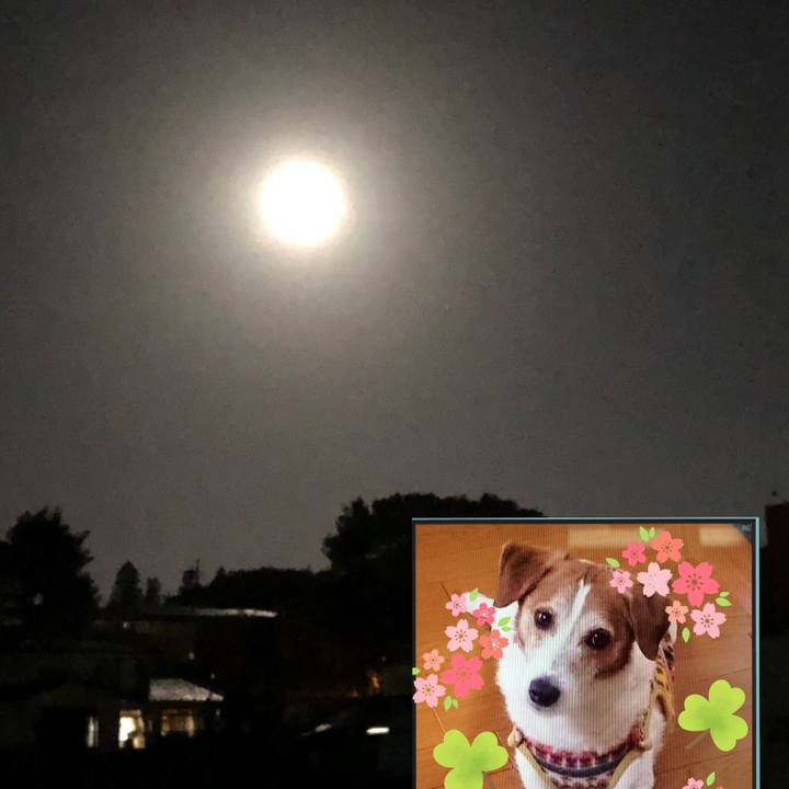 Df1f89df 7cbd 4382 91b6 df86b95bdcfc 1540472926905