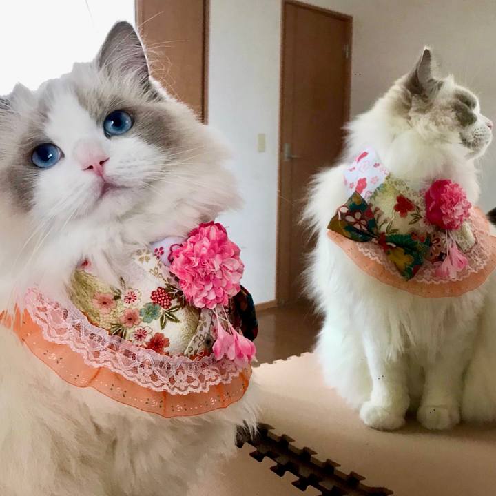 Df1ff7a4 7827 4544 84c5 f11983964ede 1636517118513