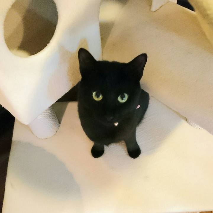 Df202d49 9c1e 4596 aa98 d6d7ae8328c9 1522974665375