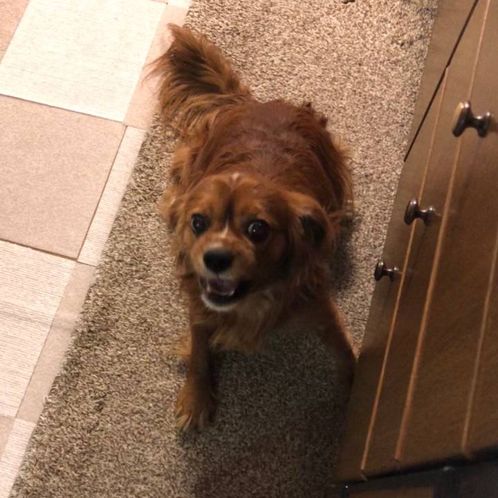 Df209b59 80bc 4203 8dfd d4edabc69005 1587211707112