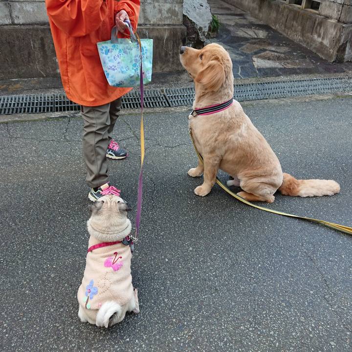 Df20ae5d 20c4 4a49 94b6 37c728efa2e7 1552298408311