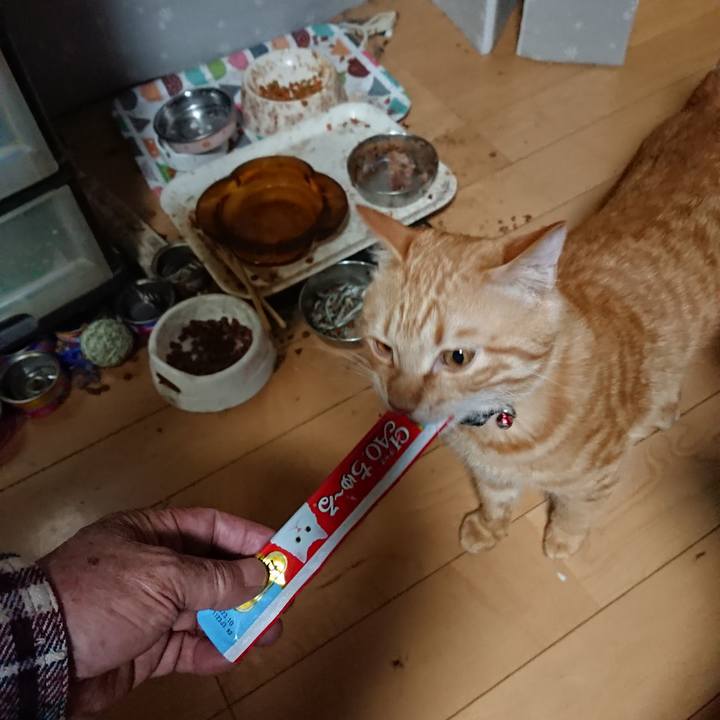 Df217aa3 c0d0 4fc1 85bc b58711298065 1643622915402