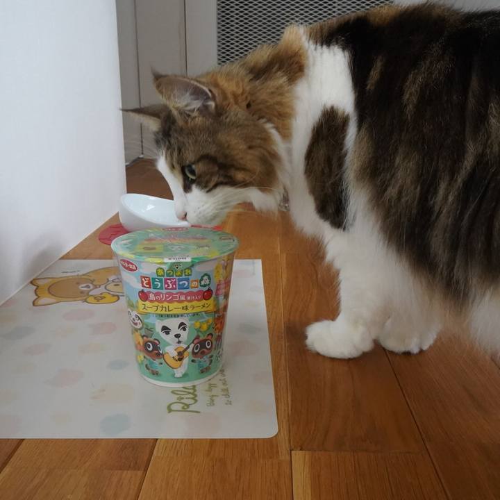 Df218ca6 0775 4934 ba29 95290709c098 1639713382456