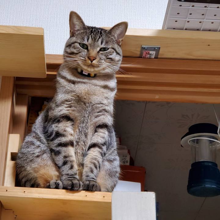 Df21ab44 b176 4df7 8090 aa8a3bf5a59f 1700235397163