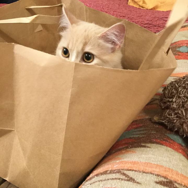 Df21aed4 45d2 45e4 8e7a 317ef256faea 1602679874898