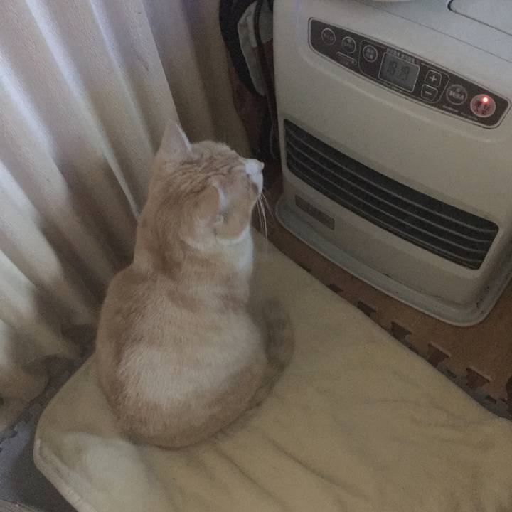 Df21eef8 6e17 480b 8677 9613b9a594eb 1546125000179