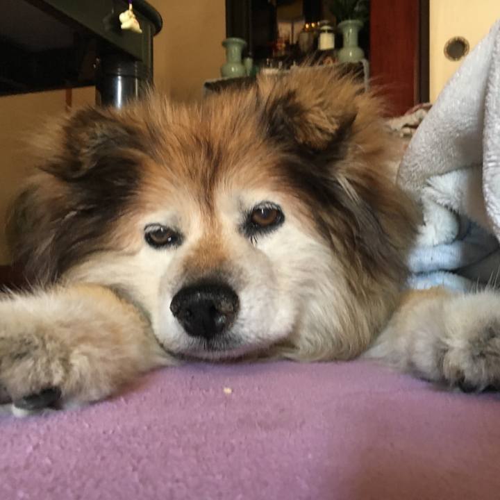 Df224a2c f29c 4e9b b980 d9a954d097d0 1571694256202