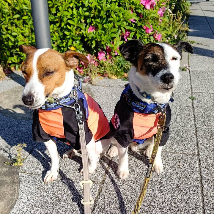 Df224d69 2bef 4c1f a85b c7a5de085536 1619389137956