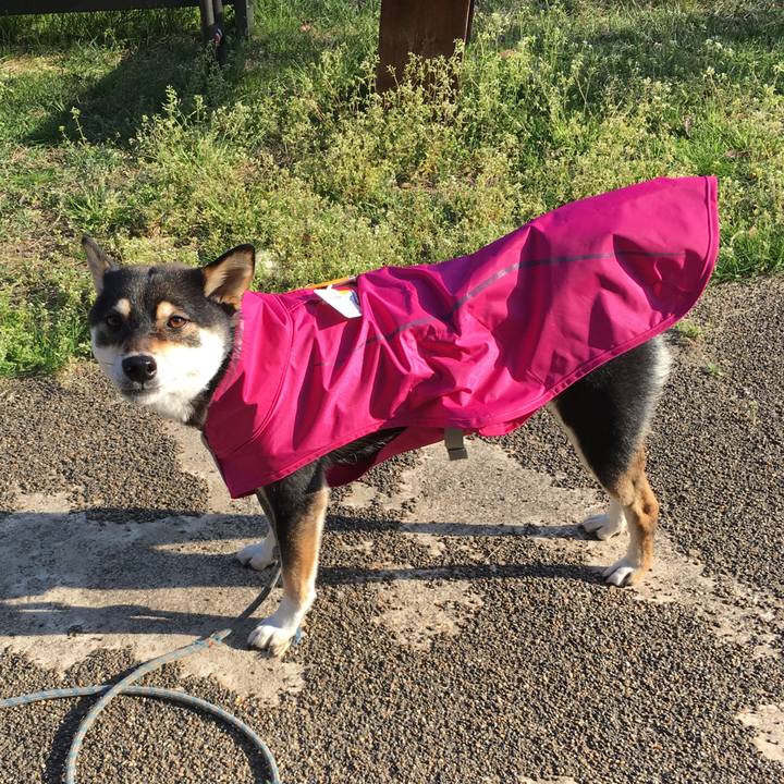 Df224e92 f3b9 4461 9017 5b69be35fe34 1524408926473