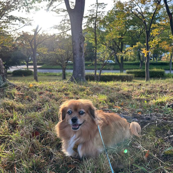 Df228c77 b29d 44ad 8101 e37a201c1a01 1758838202632