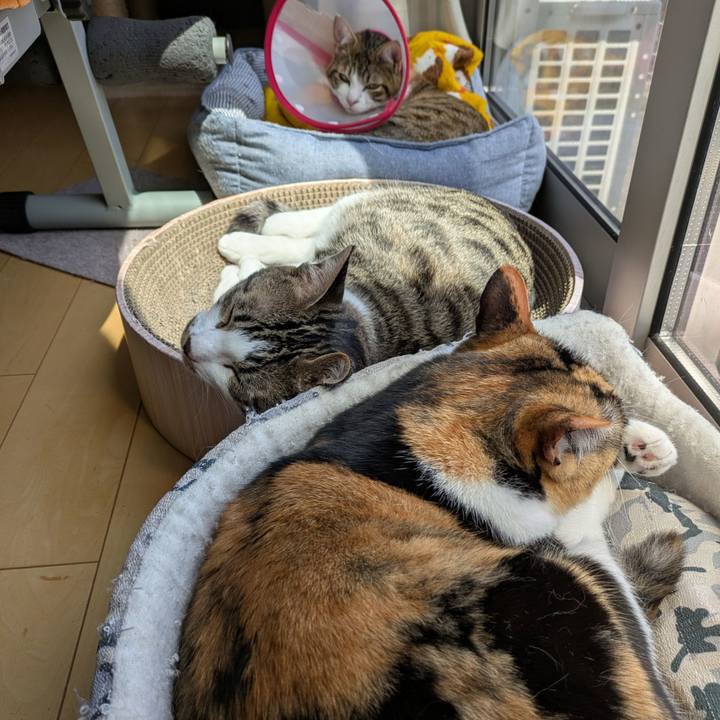 Df229059 58d0 4c6d be3d b6528f589b5f 1745217992843